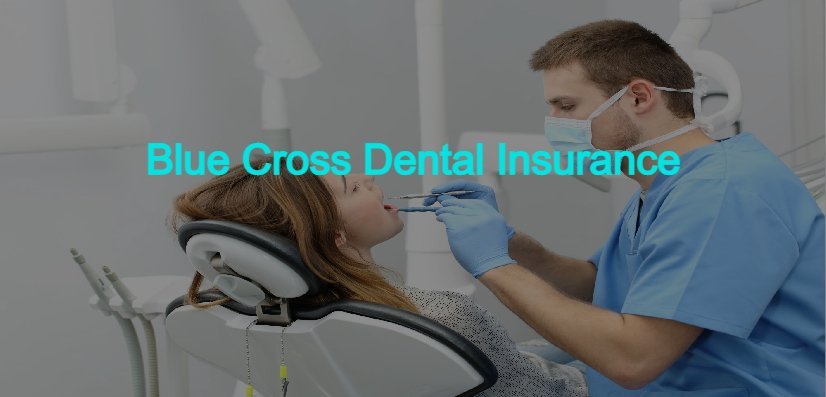 Dental insurance with Blue Cross